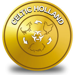 Logo_Celtic_alta